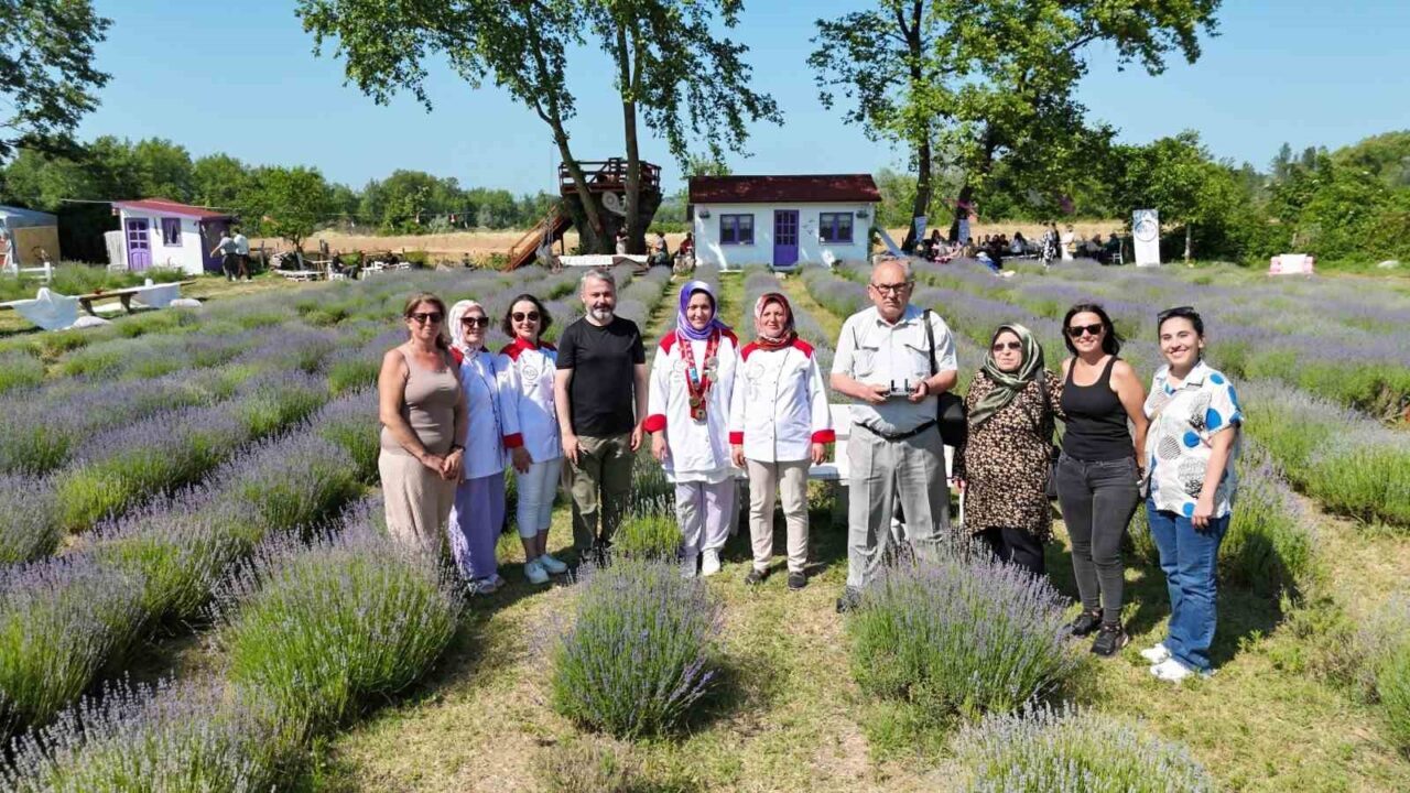 Sinop’ta lavanta kokulu gastronomi buluşması: Yöresel lezzetlere mor dokunuş