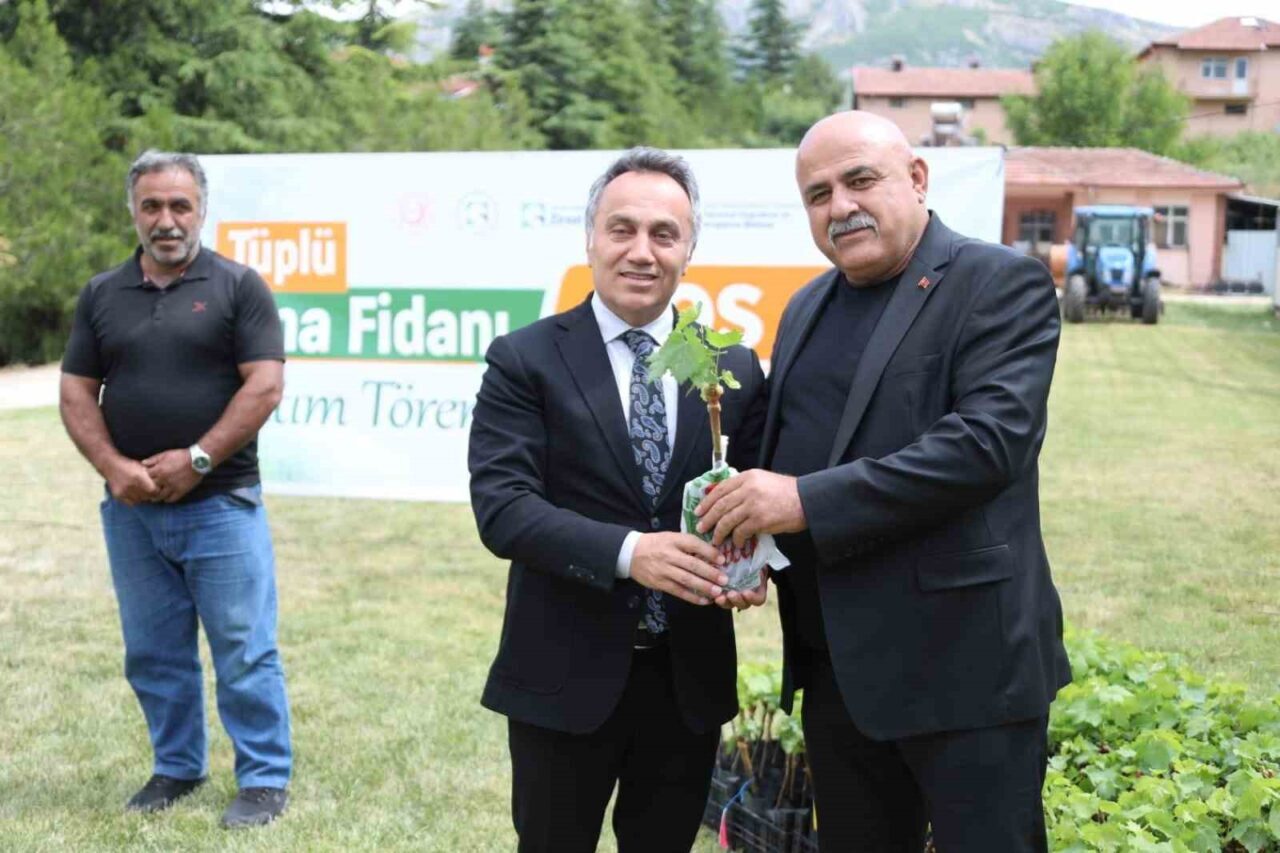 TOGÜ tüplü asma fidanlarını üreticiyle buluşturdu