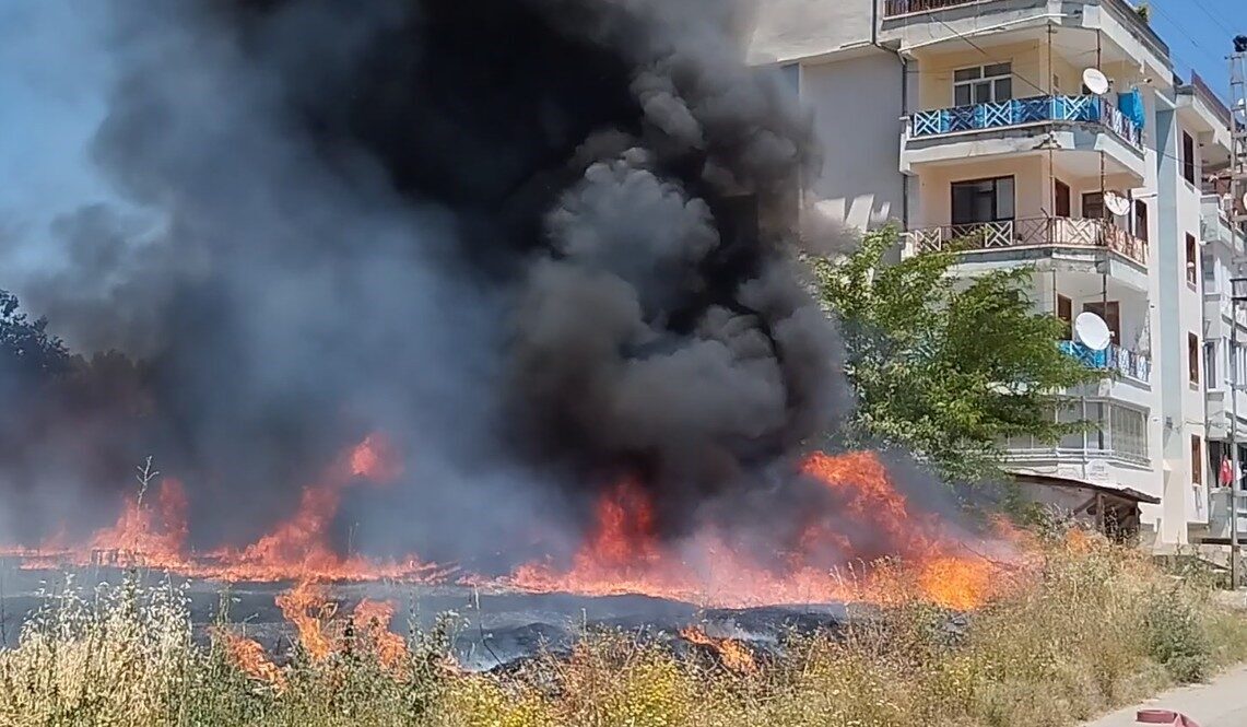 Tokat’ta arazide çıkan yangın evlere sıçramadan söndürüldü