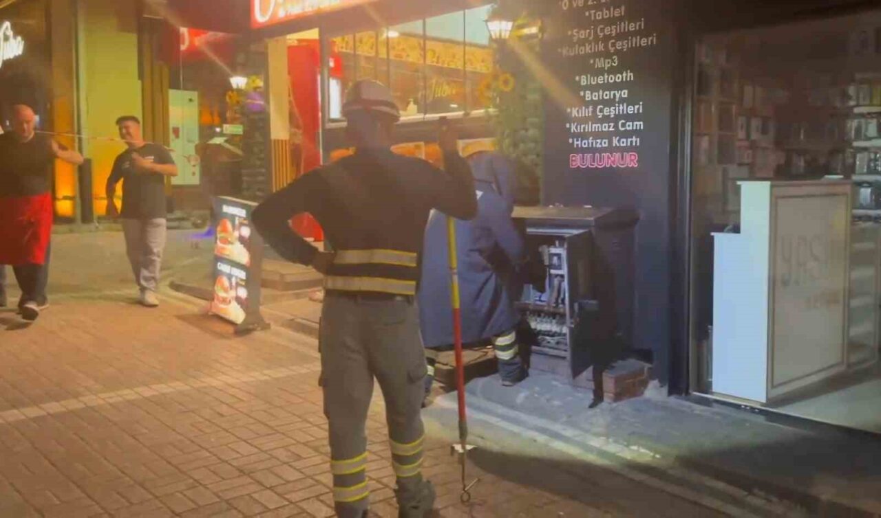 Trafoya giren fare paniğe neden oldu