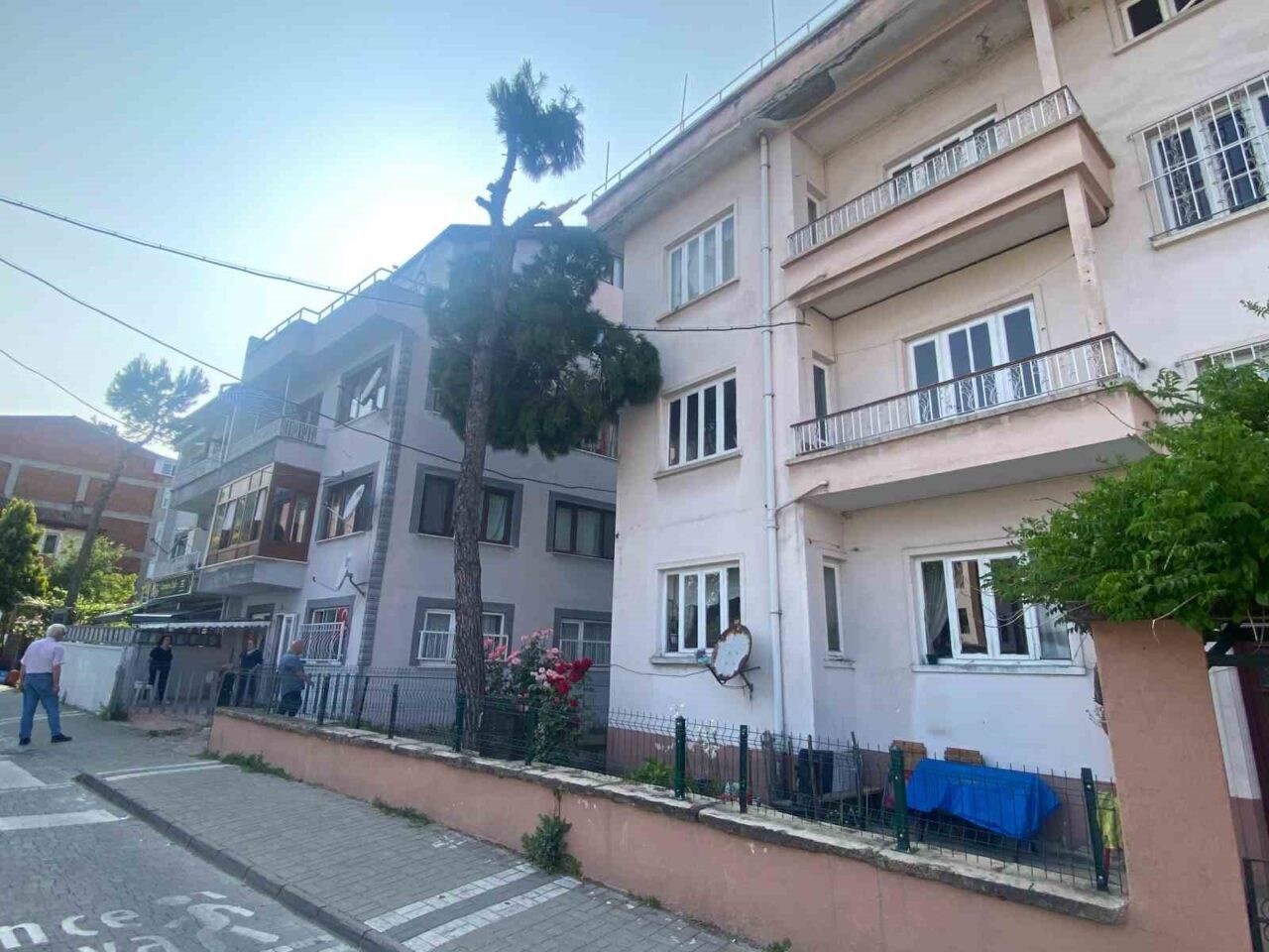 Yıkılma tehlikesi olan ağaç itfaiye ekipleri tarafından kesilecek