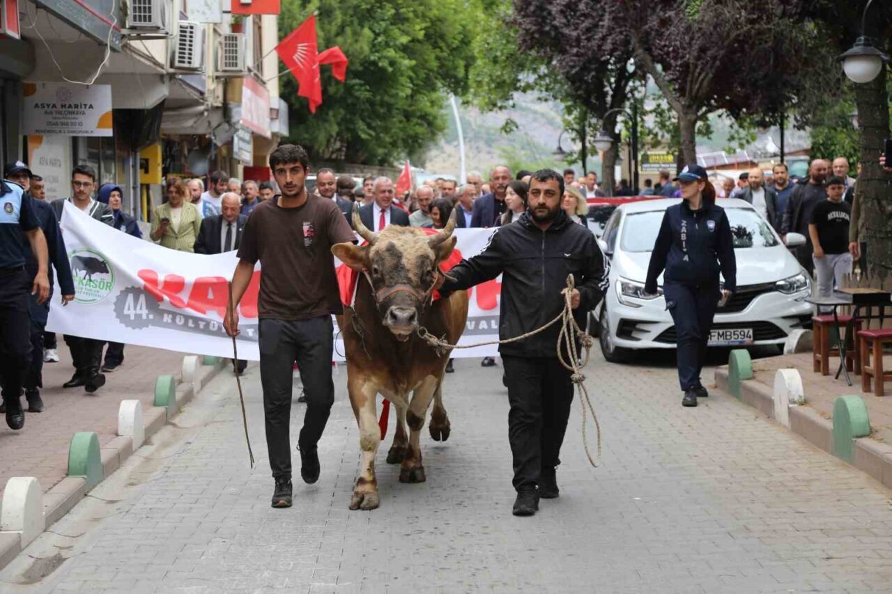 44. Kafkasör Festivali boğalı kortej yürüyüşüyle başladı