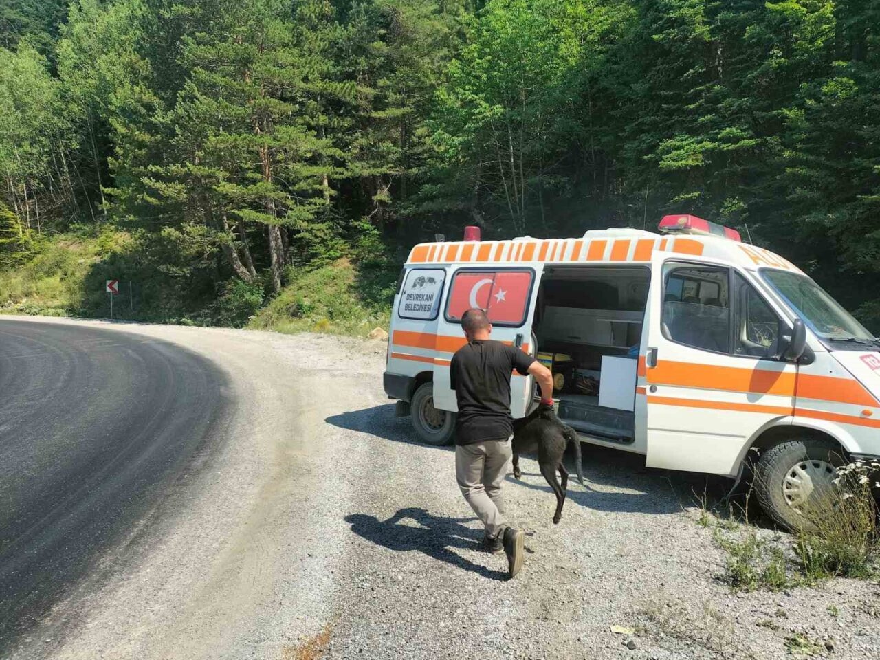 8 metre derinliğindeki rögara düşen köpekler kurtarıldı