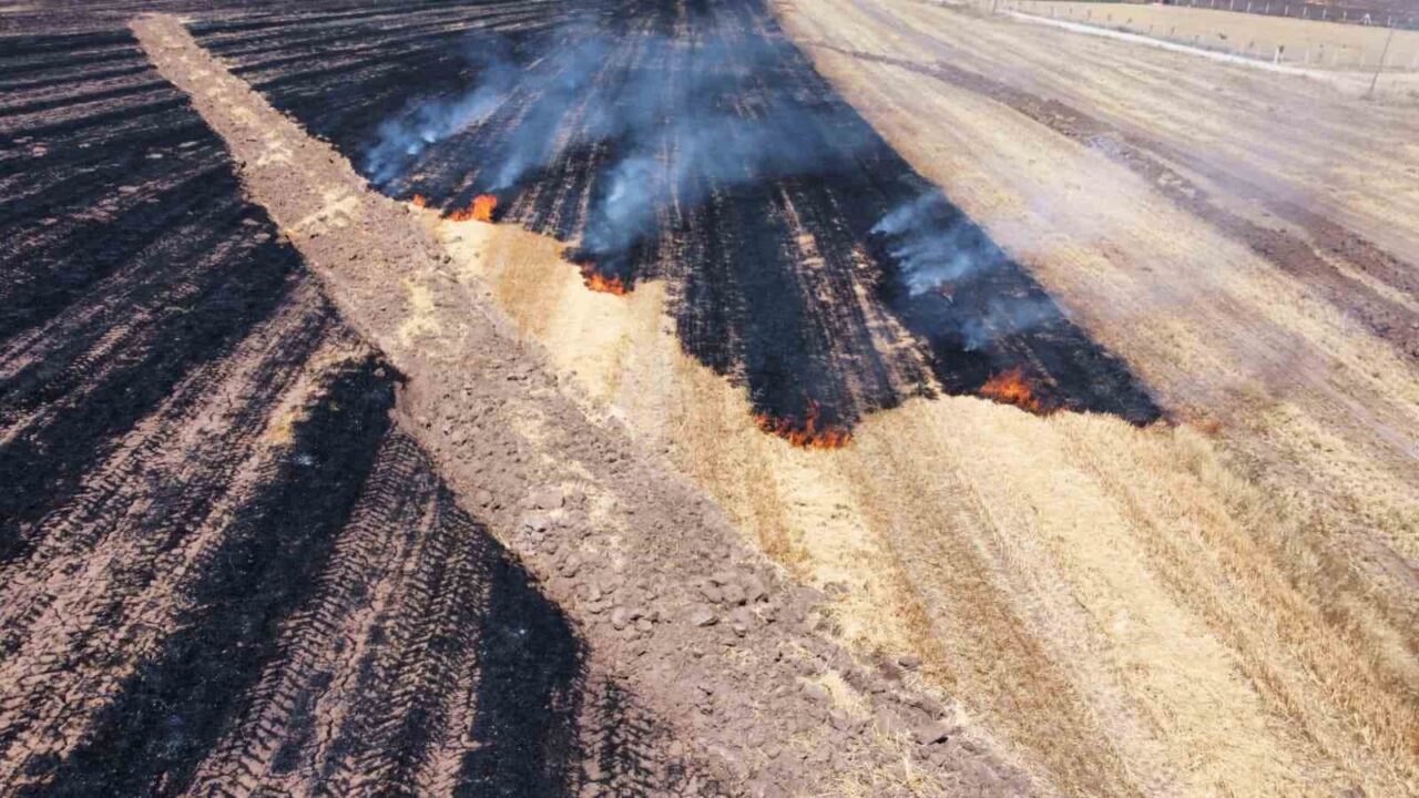 Alaca’da anız yangını: 70 dönüm arazi kül oldu