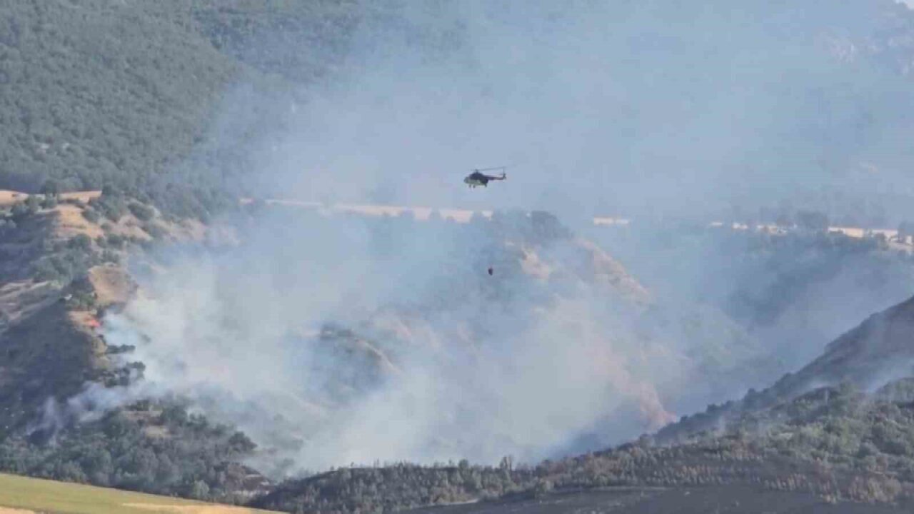 Amasya’da orman yangını: 50 dönüm orman, 150 dönüm tarım arazisi zarar gördü