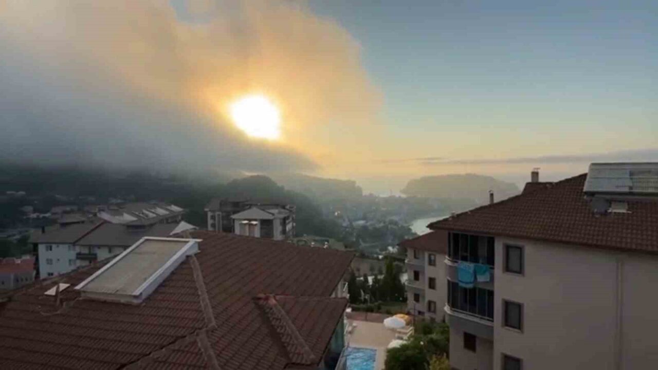 Aniden ortaya çıktı, korkulu anlara neden oldu