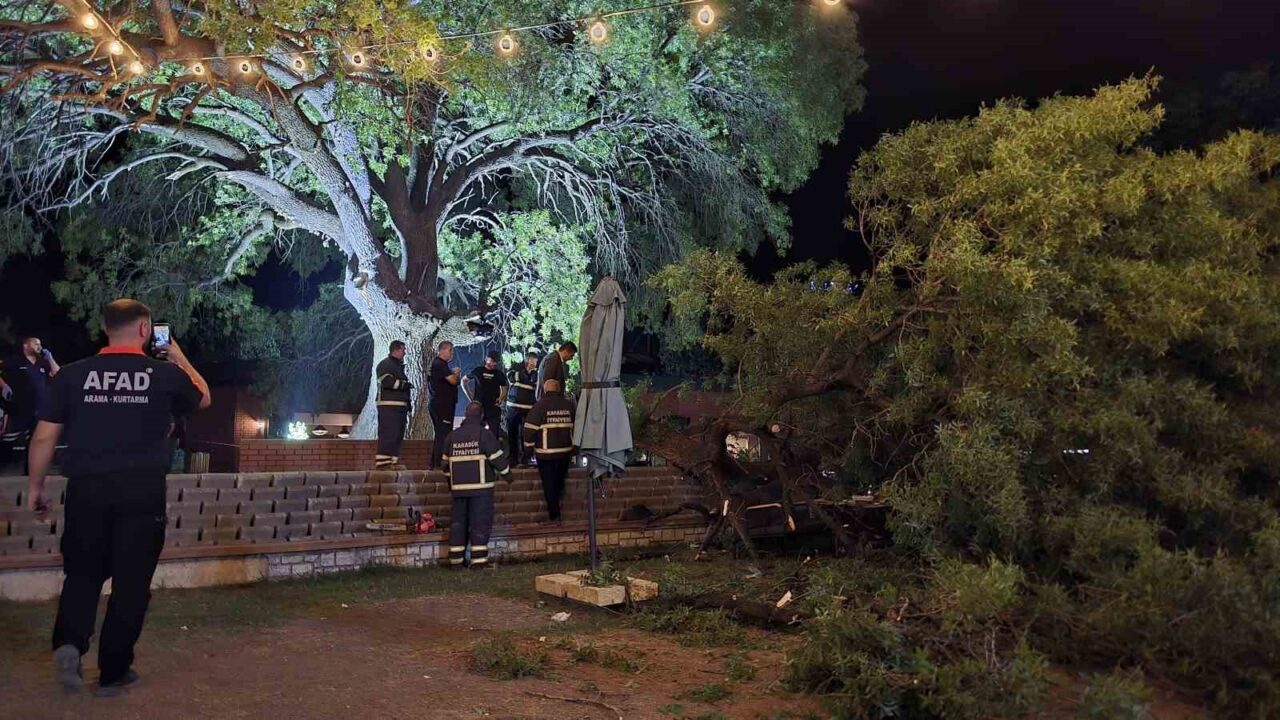 Asırlık çınar ağacının kopan dalı 4 kişiyi yaraladı