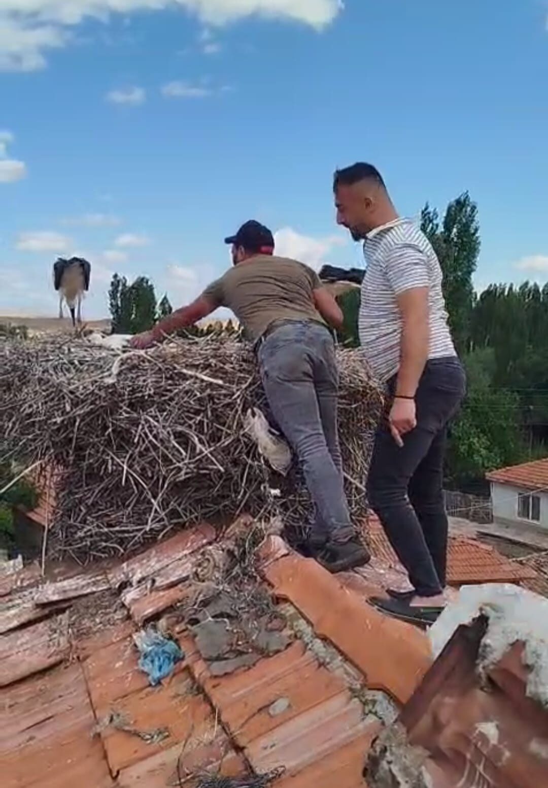 Ayağına ip dolanan leyleği itfaiye ekipleri kurtardı