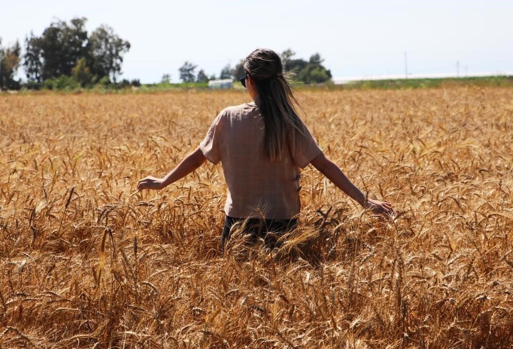 Aydıntepe’de termometreler 37 dereceyi gösterdi