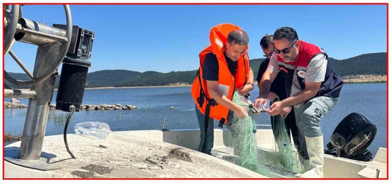 Bolu’da 2.5 kilometrelik kaçak ağ ele geçirildi