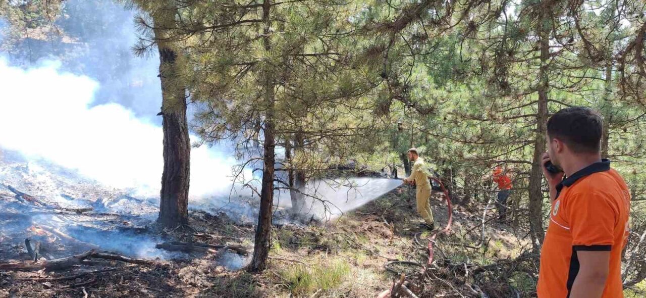 Bolu’da çıkan orman yangını büyümeden söndürüldü