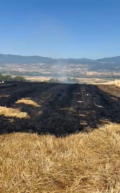 Bolu’da korkutan anız yangını, evlere sıçramadan söndürüldü