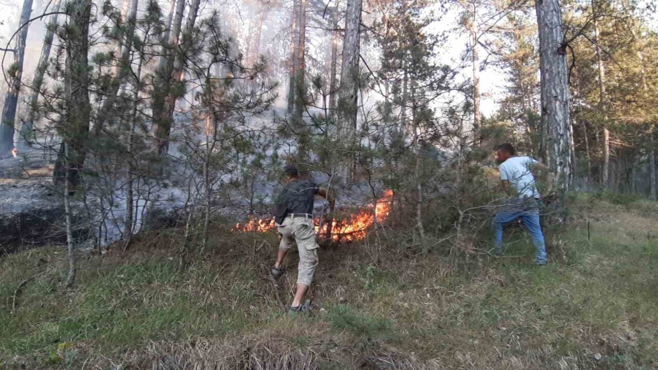 Bolu’da orman yangını başladı