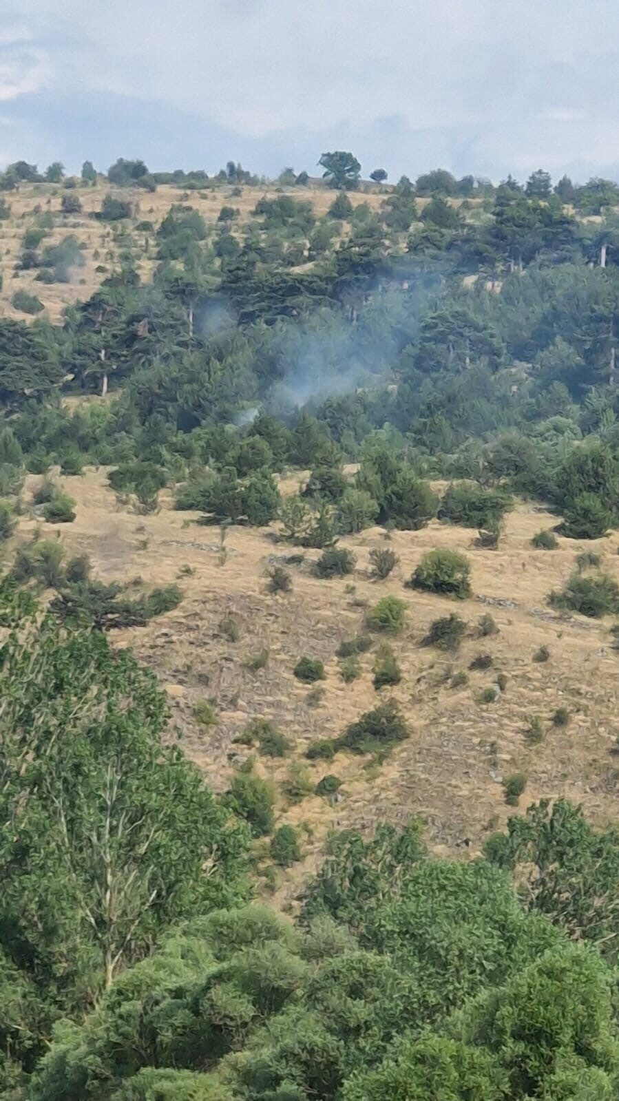 Bolu’da yıldırım kaynaklı çıkan yangınlar söndürüldü