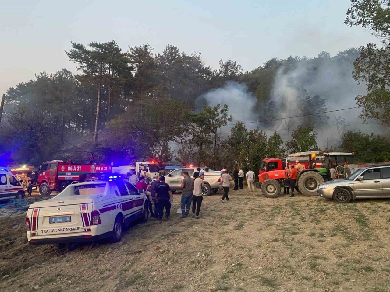 Bolu’daki orman yangını kontrol altına alındı