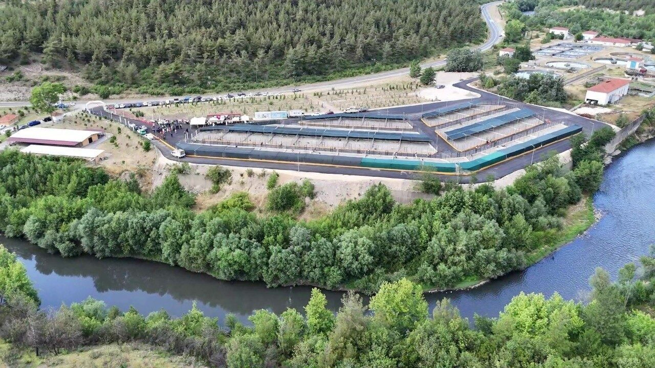 Bu tesiste 3 bin sahipsiz hayvanın barınma, tedavi ve rehabilitasyonu sağlanacak