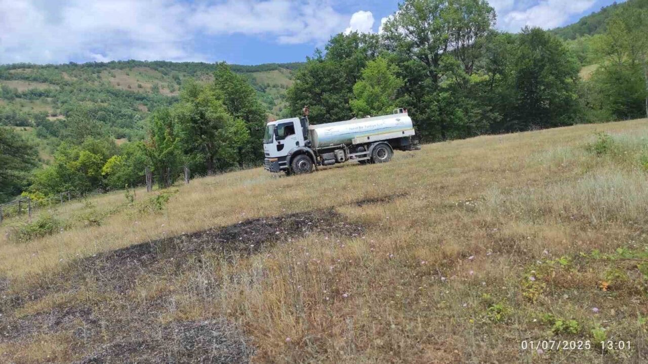 Buğday tarlasında korkutan yangın