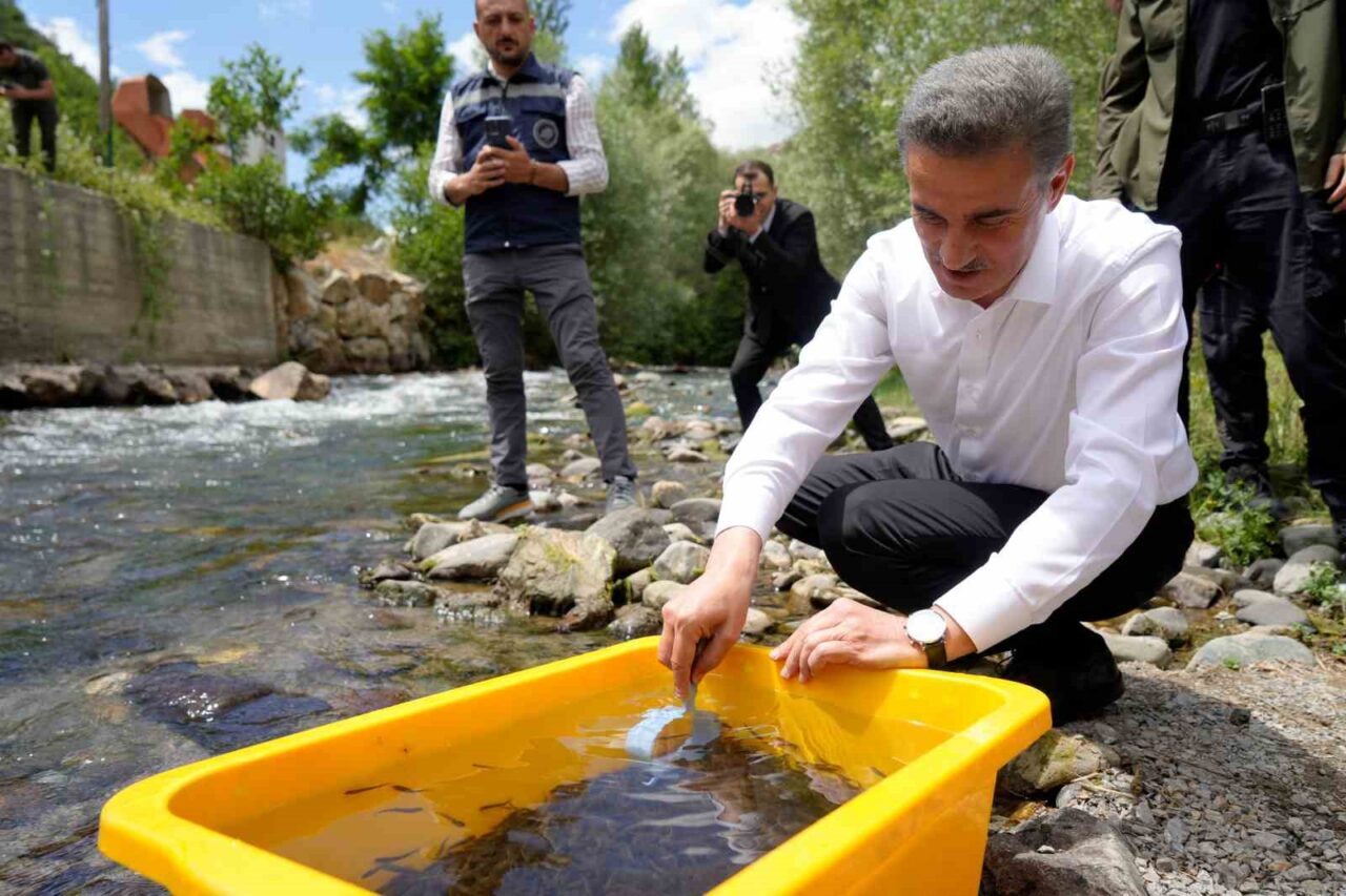 Gümüşhane’de 10 bin kırmızı benekli alabalık doğaya salındı