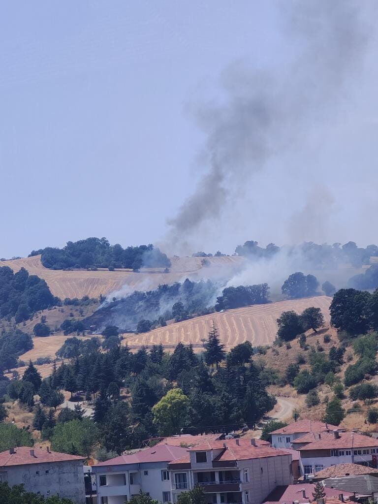 Havza’da anız yangını ormana sıçradı