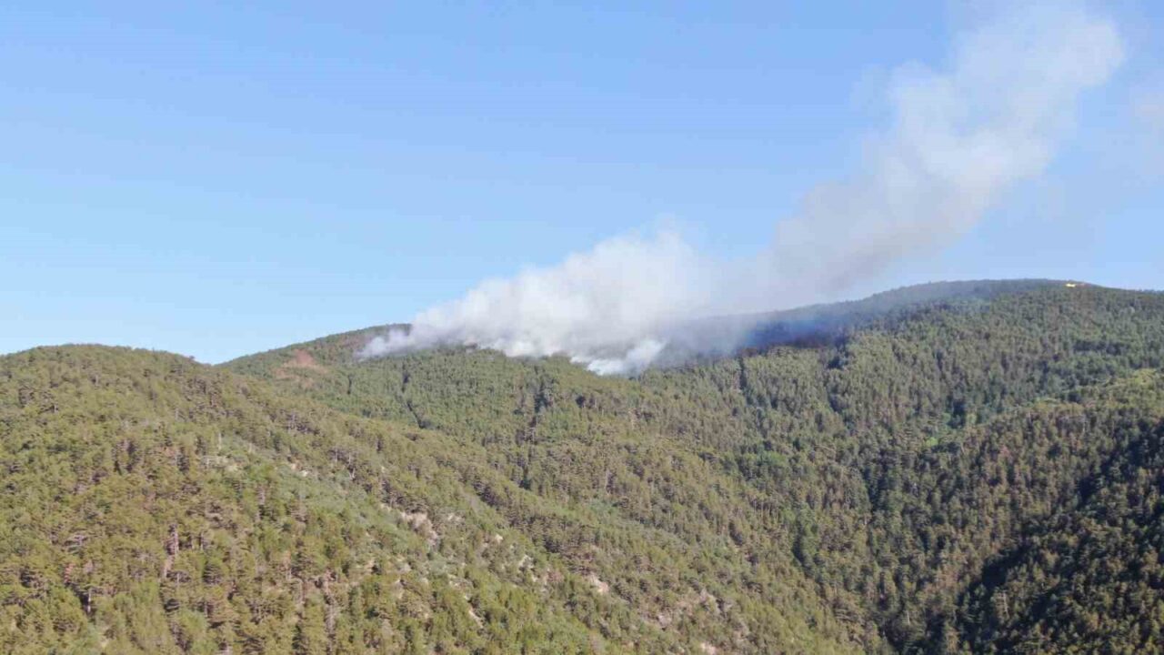 İki ilin sınırında çıkan orman yangını havadan görüntülendi