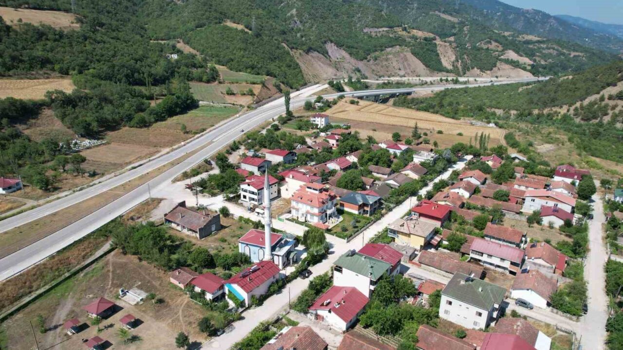 İmamın girişimiyle cami adeta çiçek serasına dönüştü