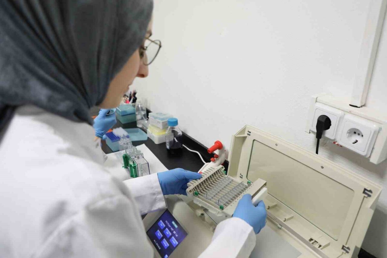 Kanseri önlemede yeni umut: kereviz tohumu