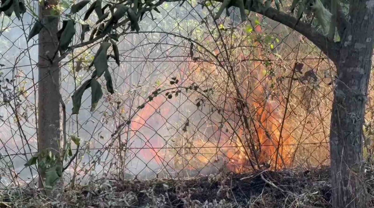 Karabük’te çıkan anız yangınında 25 dönüm alan zarar gördü