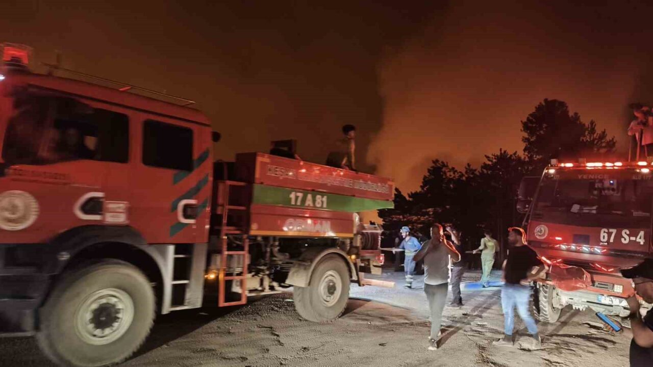 Karabük’te orman yangını büyüyor, iki mahalle tahliye edildi
