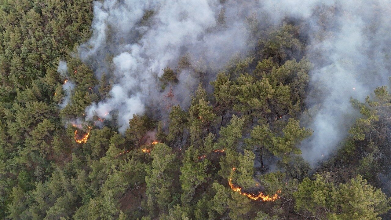 Karabük’te orman yangınına müdahale 6 saattir aralıksız sürüyor