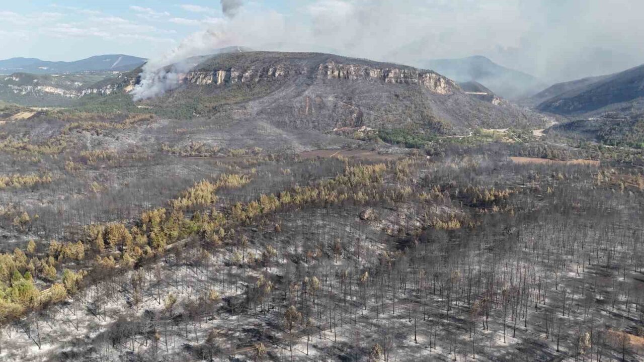 Karabük’te orman yangınlarındaki yürek burkan tahribat havadan görüntülendi