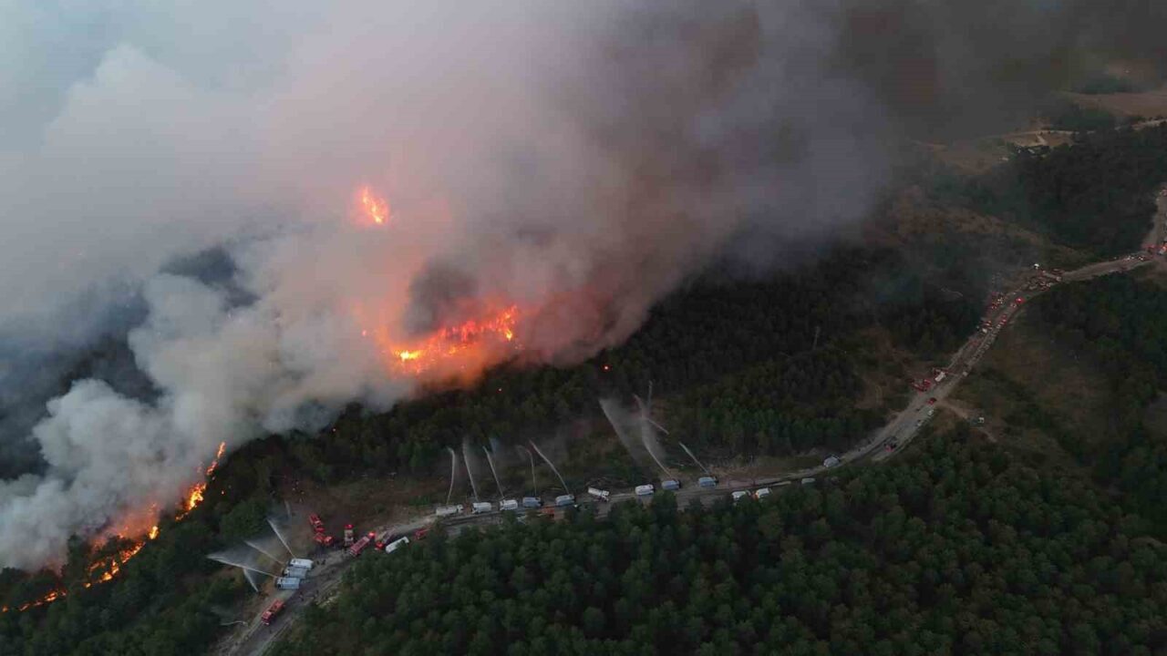 Karabük’te yeni orman yangını