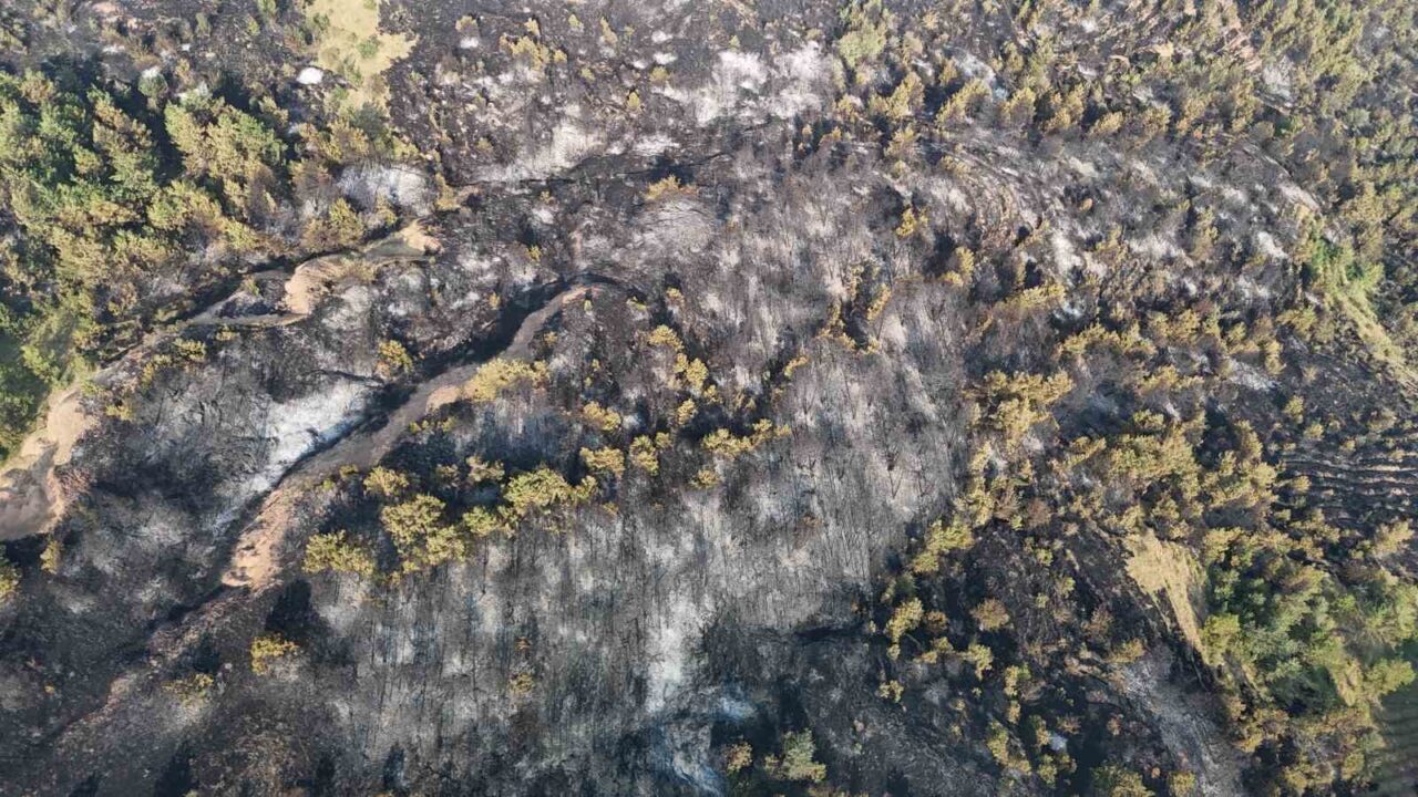 Karabük’teki orman yangını 12 saatte kontrol altina alındı