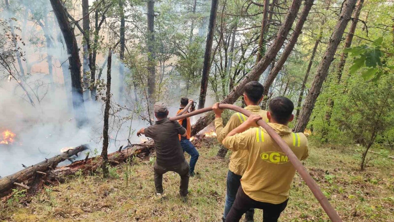 Karabük’teki orman yangınına 205 personel ve 63 araçla müdahale sürüyor
