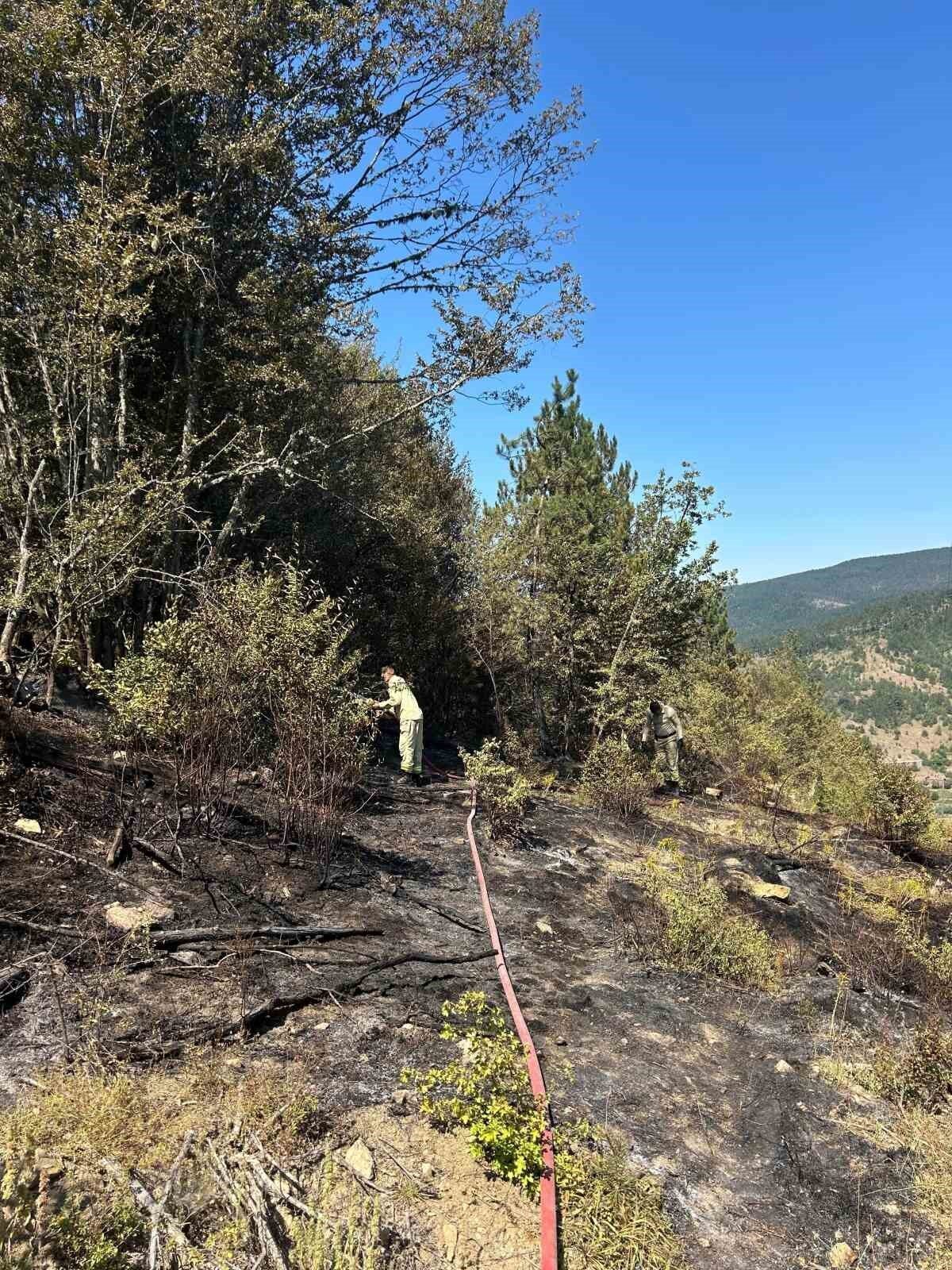 Kastamonu’da çıkan orman yangınında 2 dekar alan zarar gördü