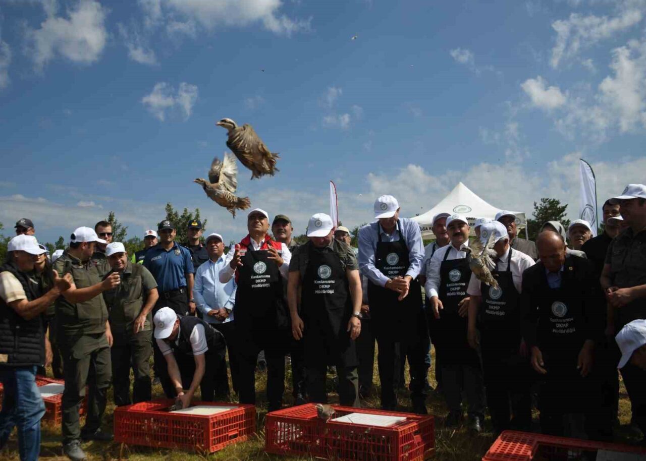 Kastamonu’da doğaya 2 bin 100 kınalı keklik salındı