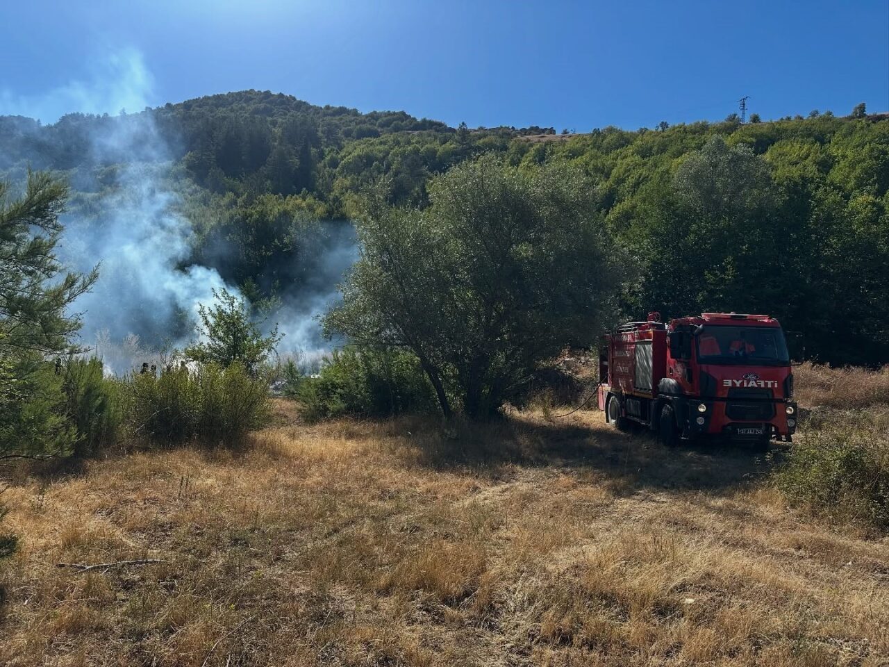 Kastamonu’da ormanlık alanda çıkan yangın büyümeden söndürüldü