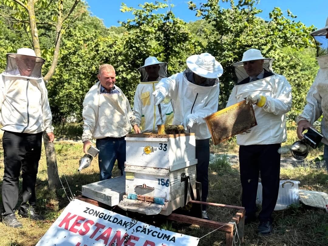 Kestane balı hasadı Çaycuma’da gerçekleştirildi