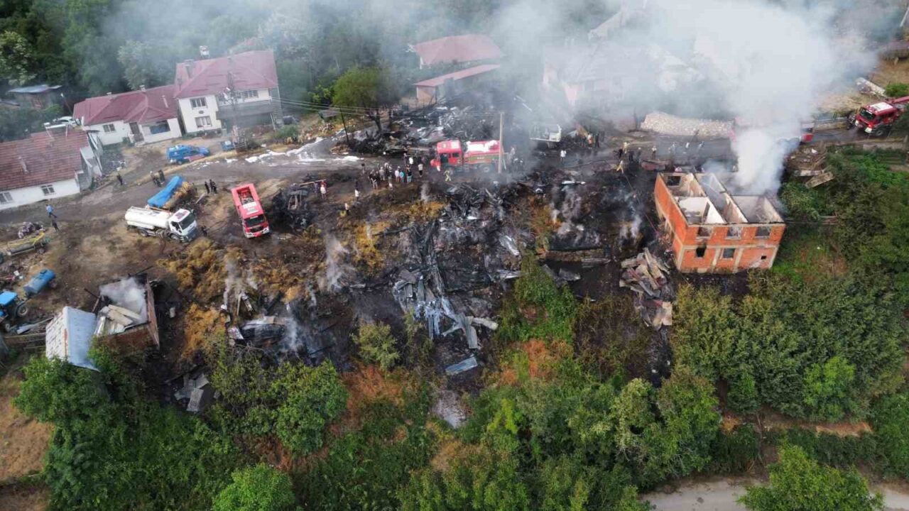 Köy alevlere teslim oldu: Felaketin izleri gün ağarınca ortaya çıktı