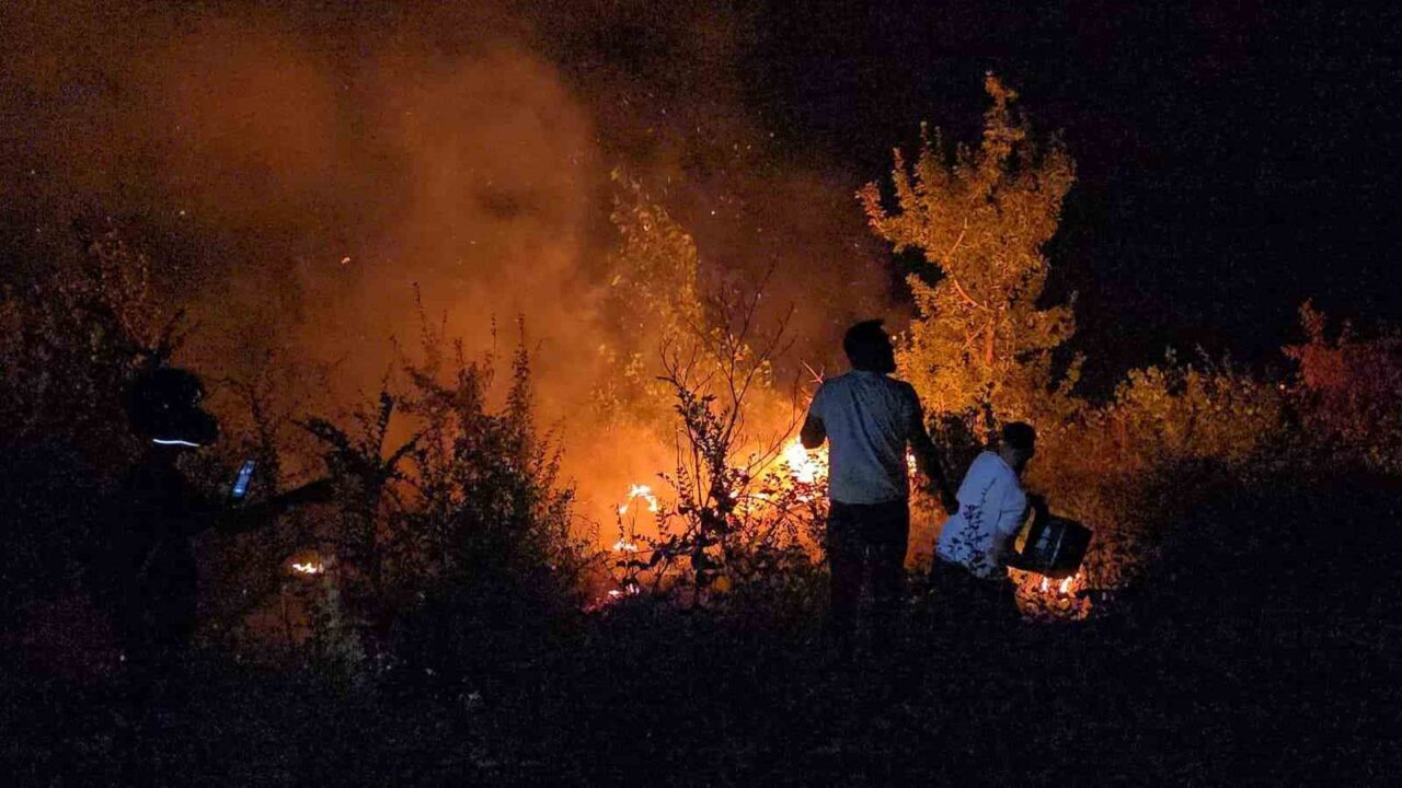 Orman yangınına gençlerden kahramanca müdahale