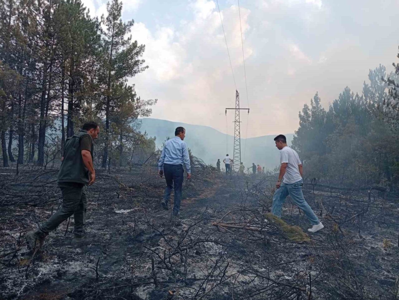 Ormanlık alandaki örtü yangını kontrol altına alındı