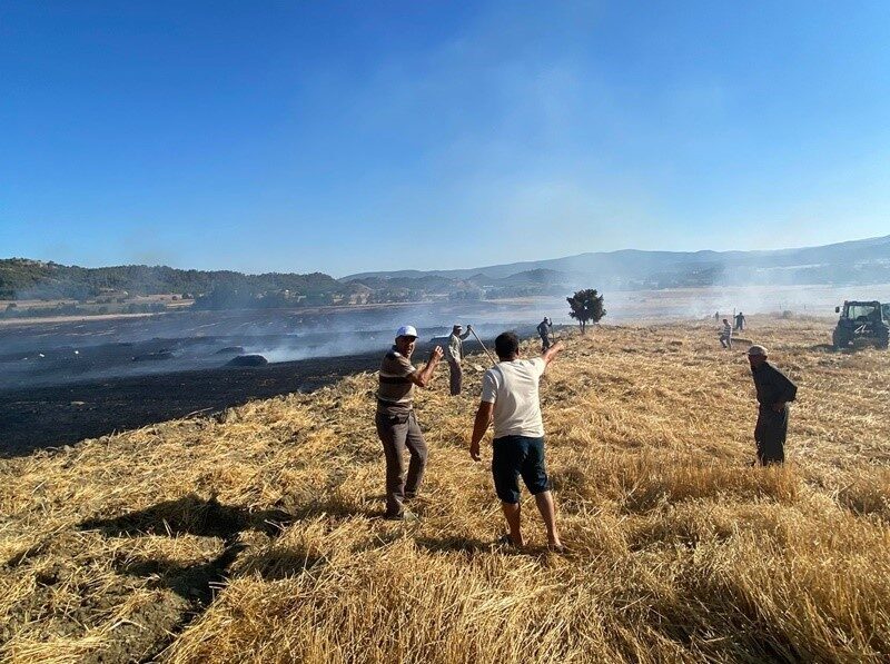 Sinop’ta anız yangını: 60 balya saman kül oldu