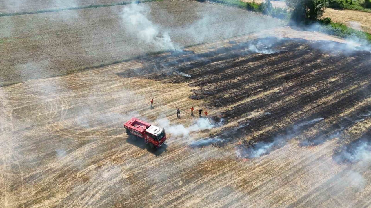 Sinop’ta anız yangını paniği