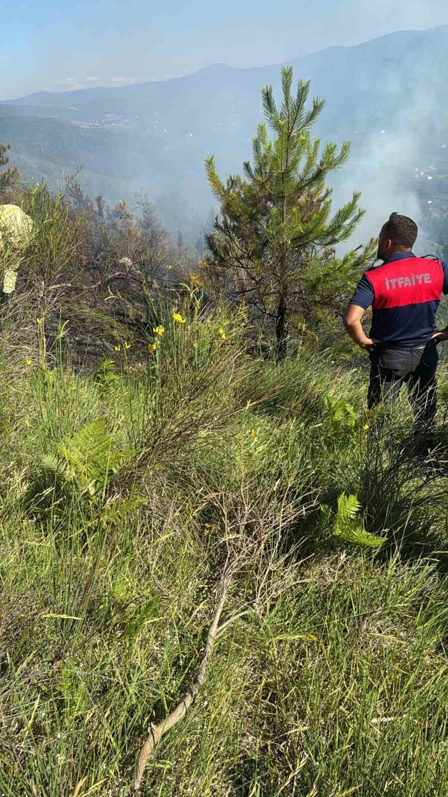Sinop’ta çıkan orman yangını büyümeden söndürüldü