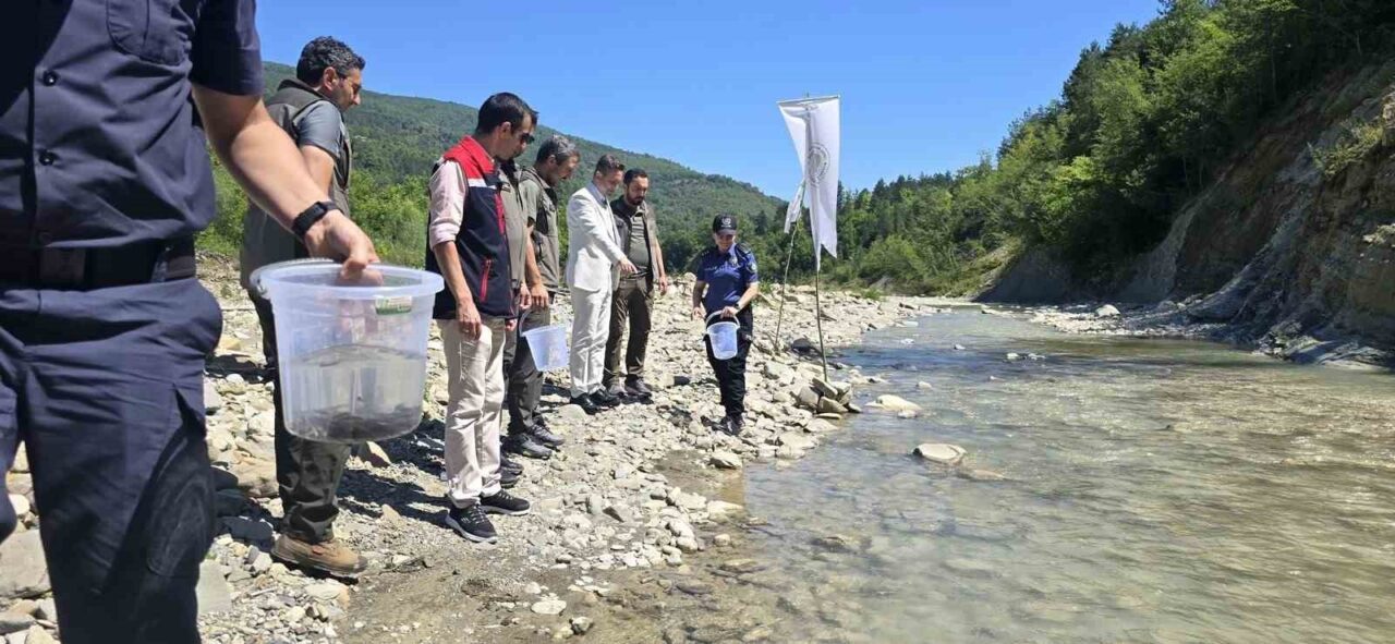 Sinop’ta derelere kırmızı benekli alabalık takviyesi