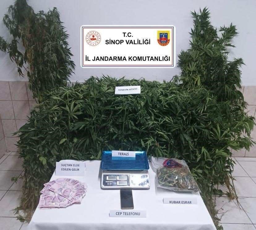 Sinop’ta uyuşturucu operasyonu: 1 tutuklama