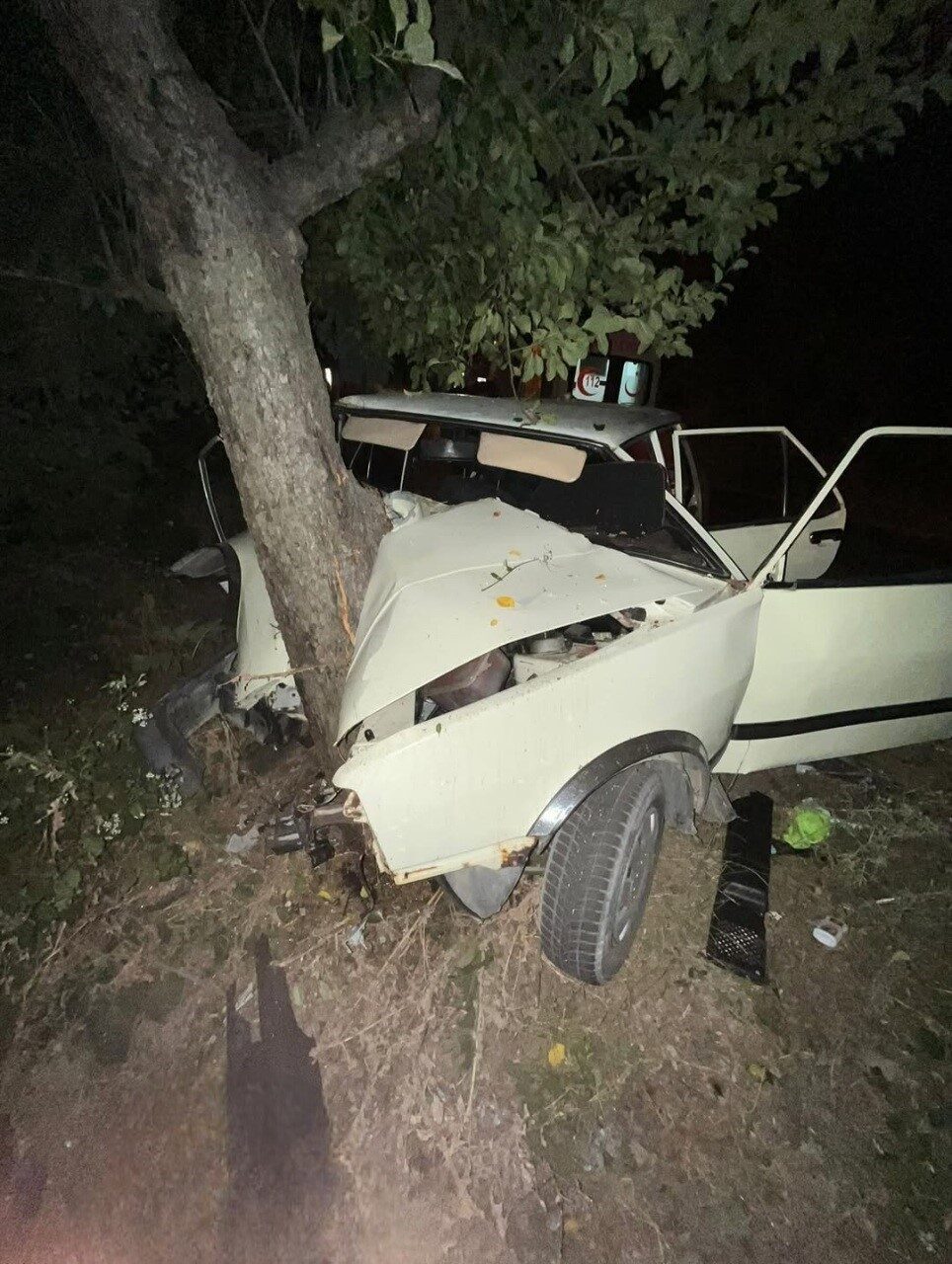 Sinop’ta virajı alamayan otomobil ağaca çarptı: 2 yaralı