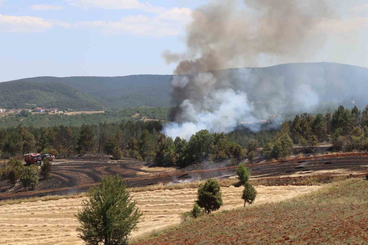 Tarlada çıkan yangın ormana sıçradı: Ekipler karadan ve havadan müdahale ediyor