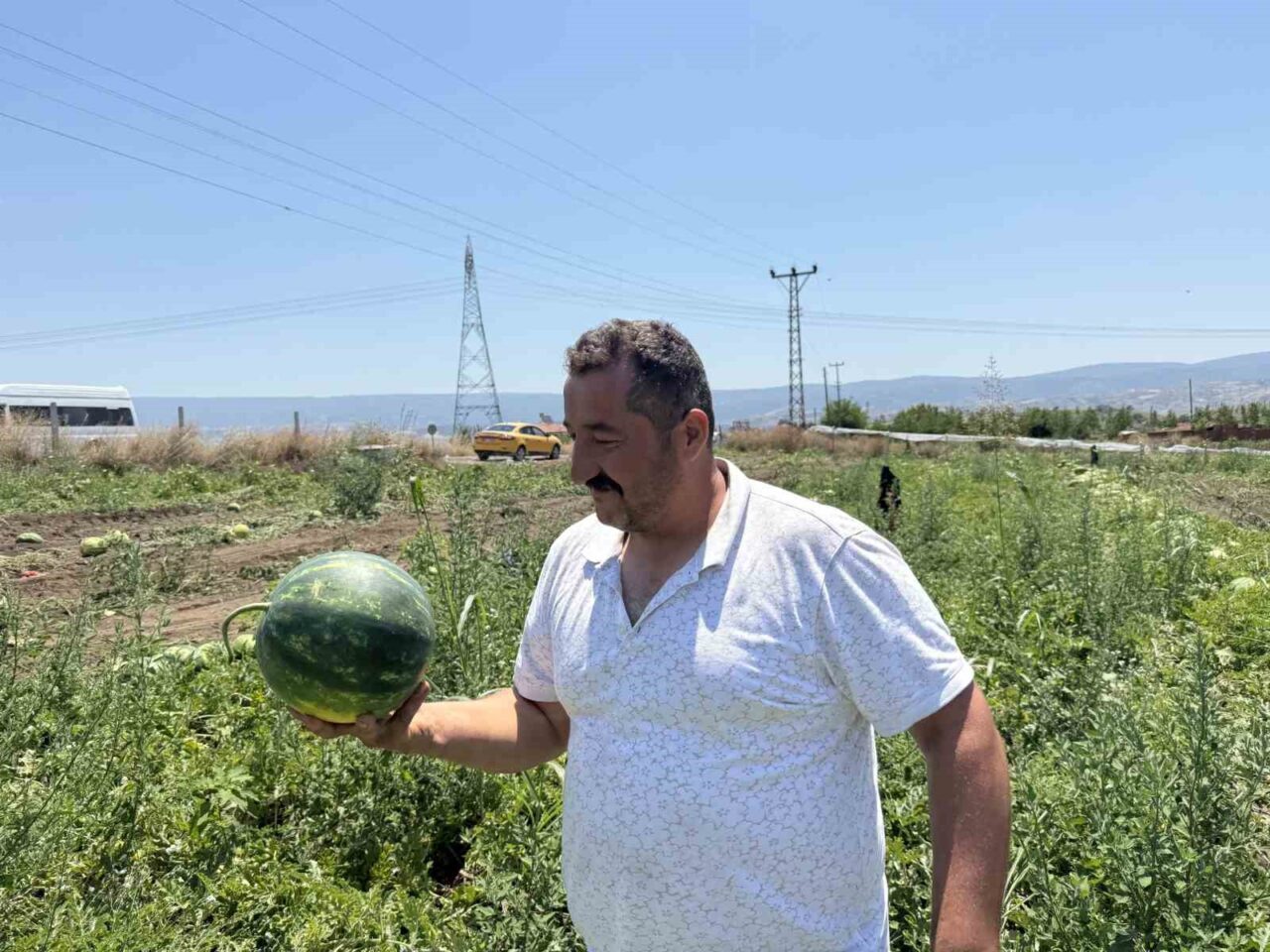 Tokat’ta karpuzun tarladaki dönüm fiyatı 10 bin liraya geriledi