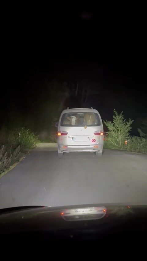 Yangında mahsur kalan hayvanları tahliye ettiler