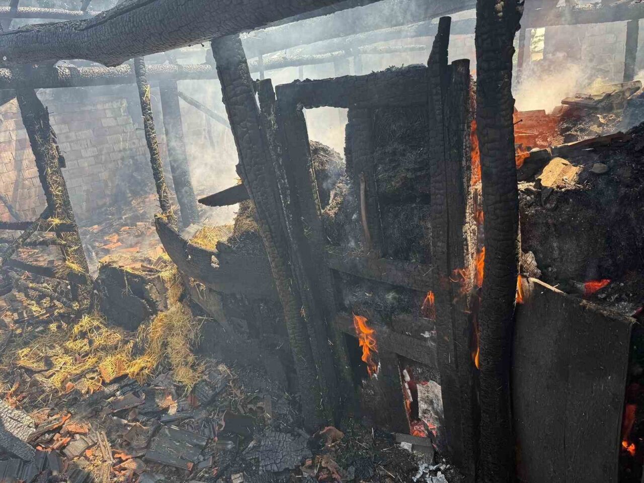 Yaprak pişirilirken çıkan yangın ahıra sıçradı, 7 büyükbaş hayvan telef oldu